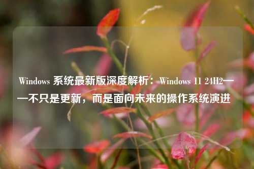 Windows 系统最新版深度解析：Windows 11 24H2——不只是更新，而是面向未来的操作系统演进  