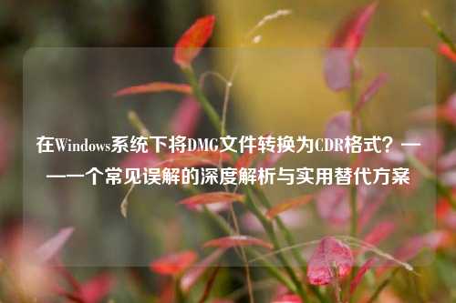 在Windows系统下将DMG文件转换为CDR格式?——一个常见误解的深度解析与实用替代方案