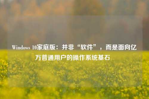 Windows 10家庭版:并非“软件”,而是面向亿万普通用户的操作系统基石