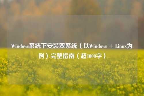 Windows系统下安装双系统（以Windows + Linux为例）完整指南（超1000字）