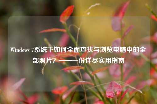 Windows 7系统下如何全面查找与浏览电脑中的全部照片?——一份详尽实用指南