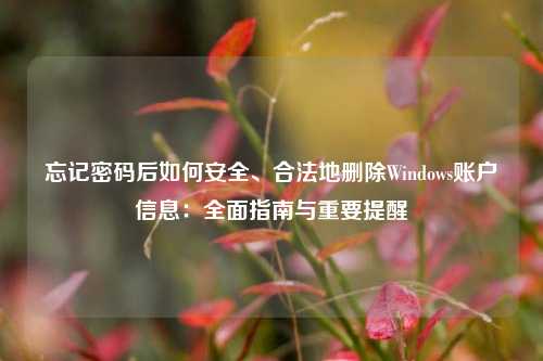 忘记密码后如何安全、合法地删除Windows账户信息：全面指南与重要提醒