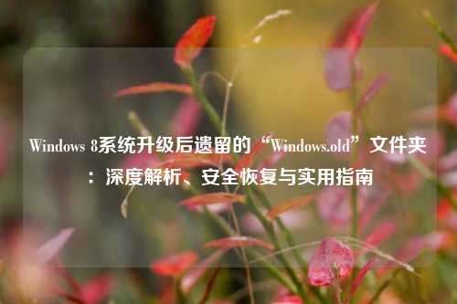 Windows 8系统升级后遗留的“Windows.old”文件夹：深度解析、安全恢复与实用指南