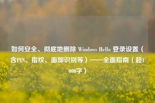 如何安全、彻底地删除 Windows Hello 登录设置（含PIN、指纹、面部识别等）——全面指南（超1000字）