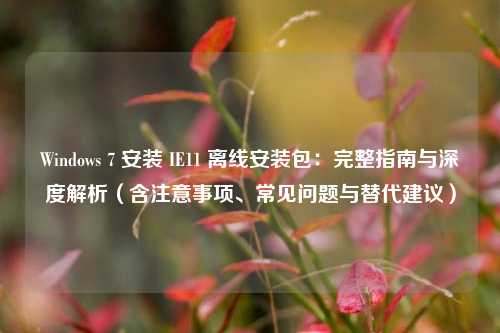 Windows 7 安装 IE11 离线安装包:完整指南与深度解析(含注意事项、常见问题与替代建议)