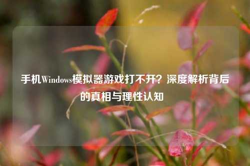 手机Windows模拟器游戏打不开?深度解析背后的真相与理性认知
