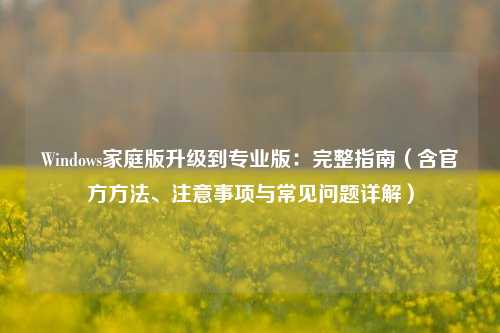 Windows家庭版升级到专业版：完整指南（含官方方法、注意事项与常见问题详解）