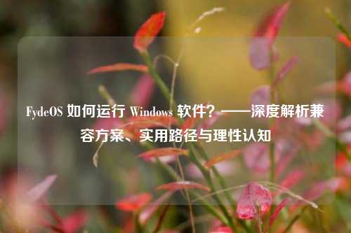 FydeOS 如何运行 Windows 软件?——深度解析兼容方案、实用路径与理性认知