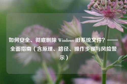 如何安全、彻底删除 Windows 旧系统文件？——全面指南（含原理、路径、操作步骤与风险警示）