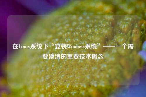 在Linux系统下“安装Windows系统”——一个需要澄清的重要技术概念