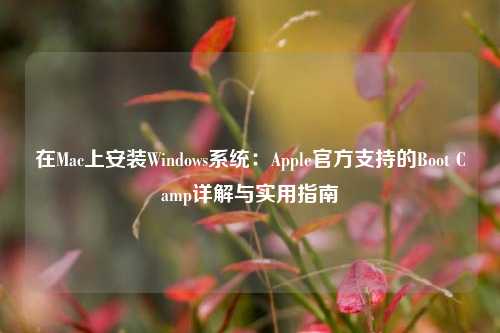 在Mac上安装Windows系统:Apple官方支持的Boot Camp详解与实用指南