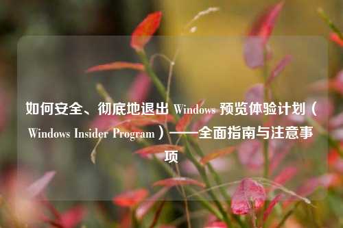 如何安全、彻底地退出 Windows 预览体验计划（Windows Insider Program）——全面指南与注意事项