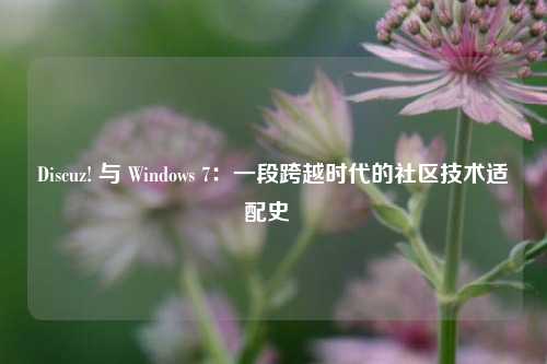 Discuz! 与 Windows 7:一段跨越时代的社区技术适配史