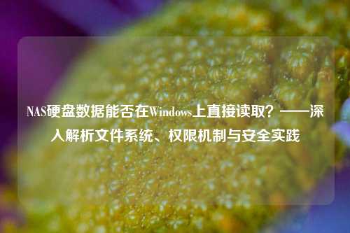 NAS硬盘数据能否在Windows上直接读取？——深入解析文件系统、权限机制与安全实践