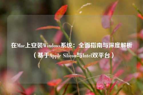 在Mac上安装Windows系统：全面指南与深度解析（基于Apple Silicon与Intel双平台）