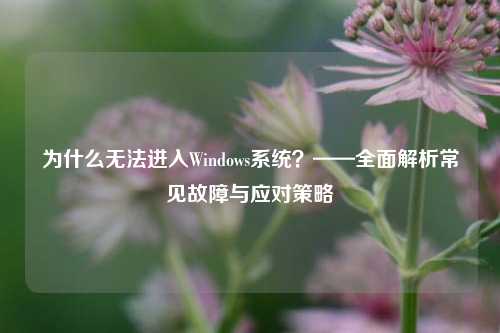 为什么无法进入Windows系统？——全面解析常见故障与应对策略