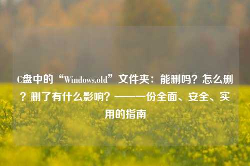 C盘中的“Windows.old”文件夹：能删吗？怎么删？删了有什么影响？——一份全面、安全、实用的指南