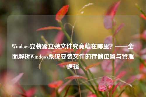 Windows安装器安装文件究竟藏在哪里？——全面解析Windows系统安装文件的存储位置与管理逻辑