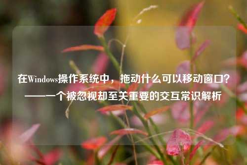 在Windows操作系统中,拖动什么可以移动窗口?——一个被忽视却至关重要的交互常识解析
