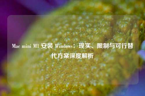 Mac mini M1 安装 Windows：现实、限制与可行替代方案深度解析