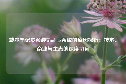 戴尔笔记本预装Windows系统的原因探析：技术、商业与生态的深度协同