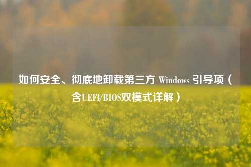如何安全、彻底地卸载第三方 Windows 引导项（含UEFI/BIOS双模式详解）