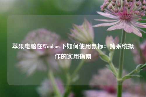 苹果电脑在Windows下如何使用鼠标:跨系统操作的实用指南