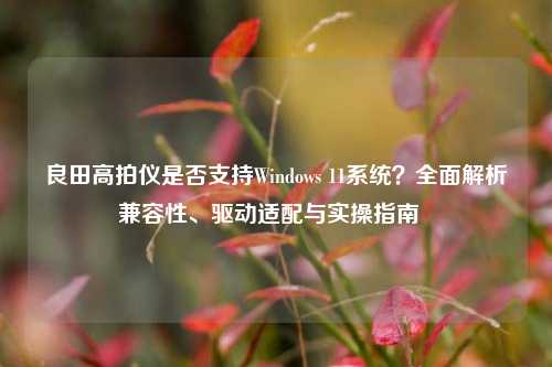良田高拍仪是否支持Windows 11系统?全面解析兼容性、驱动适配与实操指南