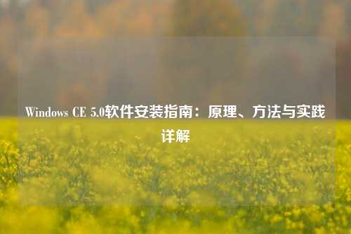 Windows CE 5.0软件安装指南：原理、方法与实践详解