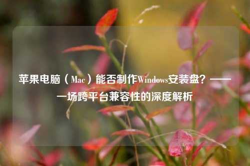 苹果电脑（Mac）能否制作Windows安装盘？——一场跨平台兼容性的深度解析
