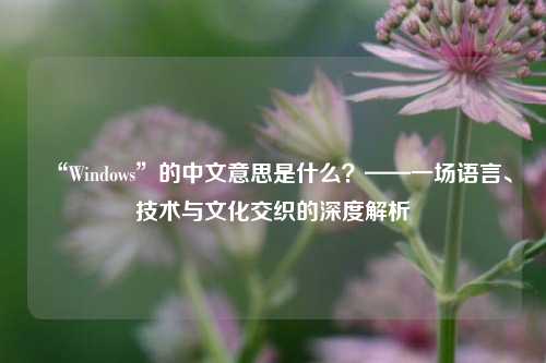 “Windows”的中文意思是什么？——一场语言、技术与文化交织的深度解析