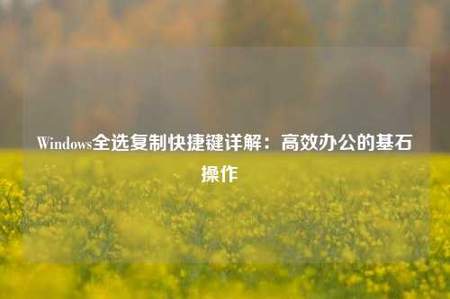 Windows全选复制快捷键详解：高效办公的基石操作  