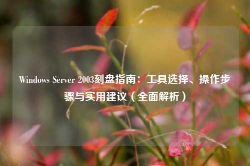 Windows Server 2003刻盘指南：工具选择、操作步骤与实用建议（全面解析）