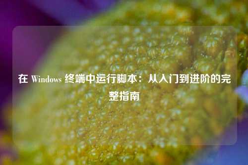 在 Windows 终端中运行脚本：从入门到进阶的完整指南