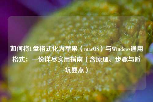 如何将U盘格式化为苹果（macOS）与Windows通用格式：一份详尽实用指南（含原理、步骤与避坑要点）