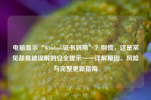 电脑显示“Windows证书到期”?别慌,这是常见却易被误解的安全提示——详解原因、风险与完整更新指南