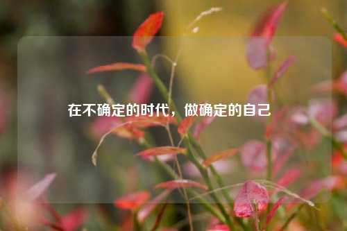 在不确定的时代，做确定的自己  